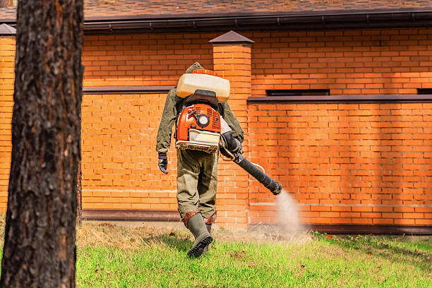 Bed Bug Clearance Verification and Documentation in Tuscaloosa